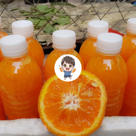 NƯỚC CAM HOÀNG PHÚC